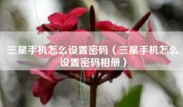 三星手机怎么设置密码（三星手机怎么设置密码相册）