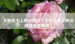 手机连不上移动网络（手机连不上移动网络是啥情况）