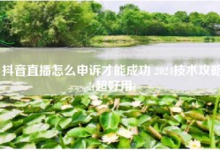 抖音直播怎么申诉才能成功 2024技术攻略!(超好用)
