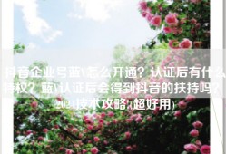 抖音企业号蓝V怎么开通？认证后有什么特权？蓝V认证后会得到抖音的扶持吗？ 2024技术攻略!(超好用)
