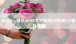 必应Bing排名SEO技术：利用AIP批量ULR提升收录