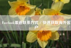 Facebook渠道联系方式／快速获取海外客户