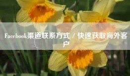 Facebook渠道联系方式／快速获取海外客户