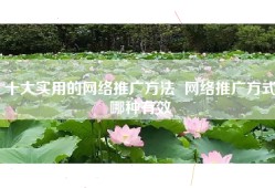 十大实用的网络推广方法  网络推广方式哪种有效