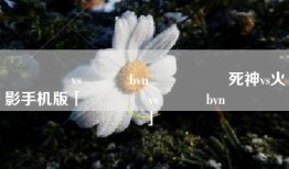 ����vs��Ӱbvn���ϰ�死神vs火影手机版「����vs��Ӱbvn���ϰ�」