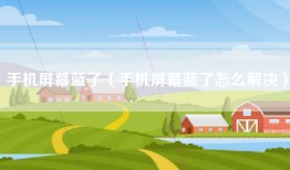 手机屏幕蓝了（手机屏幕蓝了怎么解决）