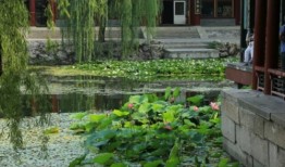 华中农业大学四川招生计划人数 2024年招生专业代码