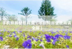 手机碎屏壁纸高清（手机碎屏壁纸高清全屏）