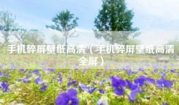 手机碎屏壁纸高清（手机碎屏壁纸高清全屏）