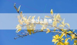 vlcc是什么意思