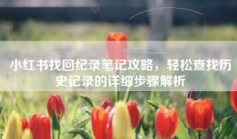 小红书找回纪录笔记攻略，轻松查找历史记录的详细步骤解析