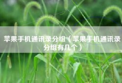 苹果手机通讯录分组（苹果手机通讯录分组有几个）