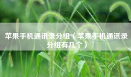 苹果手机通讯录分组（苹果手机通讯录分组有几个）