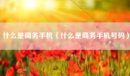 什么是商务手机（什么是商务手机号码）