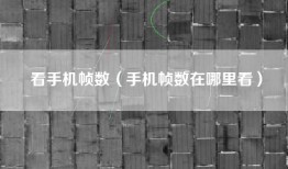 看手机帧数（手机帧数在哪里看）