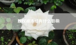 股权被冻结有什么影响