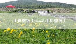 s手机壁纸（vivoy33s手机壁纸）