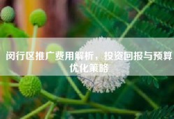 闵行区推广费用解析，投资回报与预算优化策略