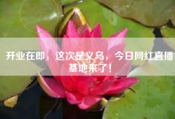 开业在即，这次是义乌，今日网红直播基地来了！
