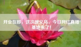 开业在即，这次是义乌，今日网红直播基地来了！