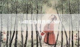 A50期指当月连续(CN00Y)