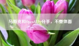 马斯克和OpenAI：分手，不要体面