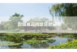 如何查询网络贷款记录