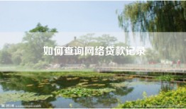 如何查询网络贷款记录