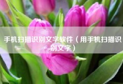 手机扫描识别文字软件（用手机扫描识别文字）