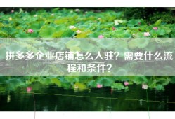 拼多多企业店铺怎么入驻？需要什么流程和条件？