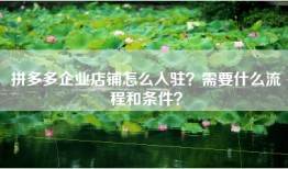 拼多多企业店铺怎么入驻？需要什么流程和条件？