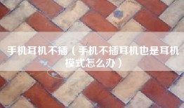 手机耳机不插（手机不插耳机也是耳机模式怎么办）