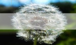 ���ֻ�ʱ���µ�CRMϵͳ�������뷢չ
