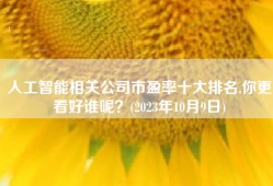 人工智能相关公司市盈率十大排名,你更看好谁呢？(2023年10月9日)