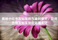 揭秘小红书发帖规则与盈利模式，如何合规发帖实现收益最大化