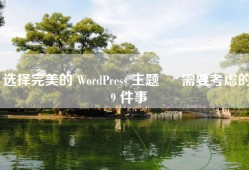 选择完美的 WordPress 主题 – 需要考虑的 9 件事