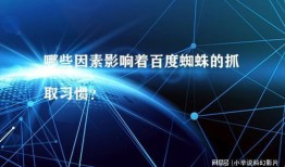 百度蜘蛛池租用：深度解析，如何利用链接秒收录蜘蛛池提升网站SEO效果