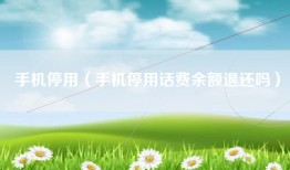 手机停用（手机停用话费余额退还吗）