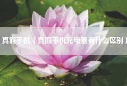 真假手机（真假手机充电器有什么区别）