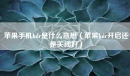 苹果手机hdr是什么意思（苹果hdr开启还是关闭好）