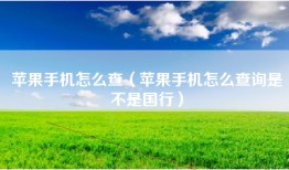 苹果手机怎么查（苹果手机怎么查询是不是国行）
