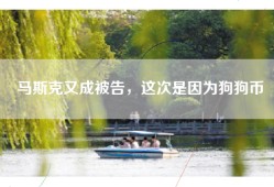 马斯克又成被告，这次是因为狗狗币