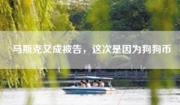 马斯克又成被告，这次是因为狗狗币