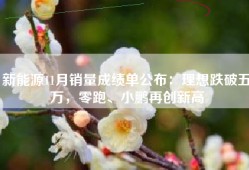 新能源11月销量成绩单公布：理想跌破五万，零跑、小鹏再创新高