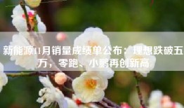 新能源11月销量成绩单公布：理想跌破五万，零跑、小鹏再创新高