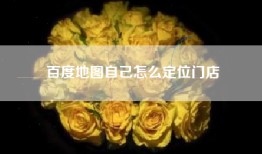 百度地图自己怎么定位门店
