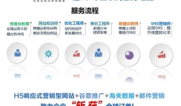 山东外贸推广-山东外贸推广-网泰科技(查看)
