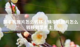换手机图片怎么转移（换手机图片怎么转移到苹果上）