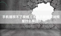 手机播放不了视频（手机不能播放视频是什么原因）
