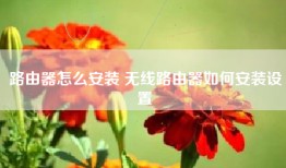 路由器怎么安装 无线路由器如何安装设置